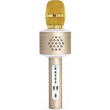Mikrofón karaoke Bluetooth na batérie s USB káblom - Zlatý