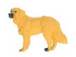 Zoolandia psíkovia 7 - 10 cm - Zlatý Retriever