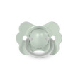 Cumlík SX Pre fyziologický Butterfly Wonderland New 0-6 m Suavinex - Zelený