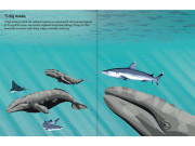 555 samolepiek - Pod morom