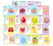 Poďme sa učiť: Naše úžasné telo Tactic