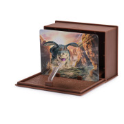 Ako vycvičiť draka figúrky s kartami v knihe drakov