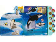 Haf! Mňau! Vypočujte si mláďatá z celého sveta!