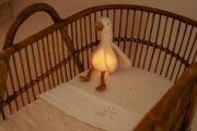 Zaspávač hus Newborn Naturals Little Dutch