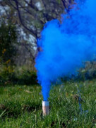 Dýmovnica modrá - Je to chlapec!