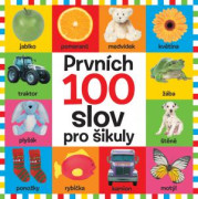 Prvých 100 slov