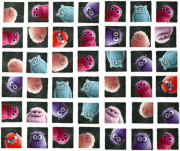 Spoločenská hra pre deti Plush-o-Mat od 6 rokov Haba