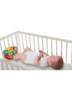 Multifunkčný hudobný nástroj levíček Playgro