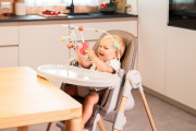 Stolička jedálenská Polly Armonia Chicco