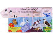 Kuk pod okienko - Čo robia zvieratá v zime?