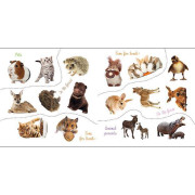 Veľké nálepky pre malé ručičky Mláďatá