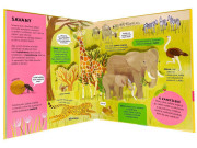 Úžasné zvieratá POP-UP Catherine Ard, Melanie Mikecz