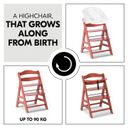 Jedálenská drevená stolička Hauck Alpha+