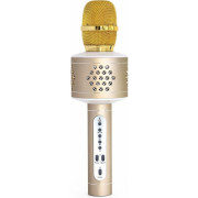 Mikrofón karaoke Bluetooth na batérie s USB káblom