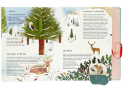 Leporelo 24 dní do Vianoc ilustrácie Richard Jones