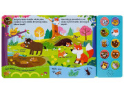 Poznávam zvuky V lese