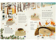 Leporelo 24 dní do Vianoc ilustrácie Richard Jones