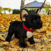 Plyšový francúzsky buldoček čierny s obojkom stojaci 30 cm Eco-Friendly Rappa