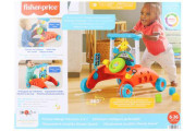 Fisher-Price Obojstranné chodítko steadyspeed