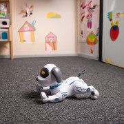 Pes na diaľkové ovládanie MXRD-100 biely Maxlife