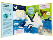 Úžasné zvieratá POP-UP Catherine Ard, Melanie Mikecz