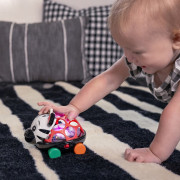 Autíčko a hrkálka 2v1 Curious Car zebra Zen™