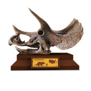 Lovci lebiek Albi - Triceratops