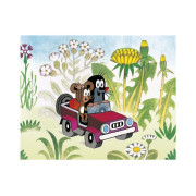 Kocky kubus Krtko a dopravné prostriedky drevo 20 ks