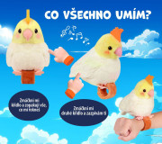 Opakujúci a spievajúci papagáj Steppos