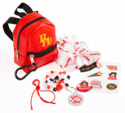 Mini batôžtek 10 cm s doplnkami Rainbow High