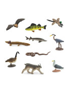 Tuba - Veľké jazerá