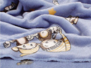 Deka flanell fleece 70 x 100 cm