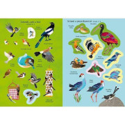 Moje prvé samolepkovanie Vtáky