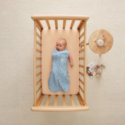 Zavinovačka a vak na spanie 2 v 1 Cocoon Dragonflies 1 tog Ergopouch