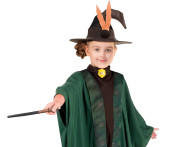 Kostým Kúzelník/Kúzelníčka zelený