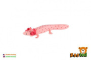 Axolotl mexický zooted plast 8 cm