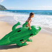 Vodné vozidlo Aligátor