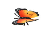 Motýľ Monarcha africký (babočka) zooted plast 7 cm