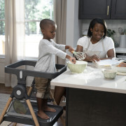 Stolička jedálenská multifunkčná Wesley™ 0 m+ do 23 kg Ingenuity