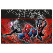 Plastový obrus Spiderman (World of web) 120x180 cm