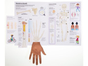 Naj... ĽUDSKÉ TELO v pohybe