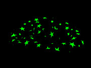 Had plyšový 18 cm svietiaci v tme