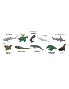 Tuba - Ohrozené morské druhy