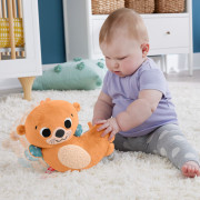Plyšové vydrá s knižkou HXG96 Fisher Price