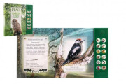 Zvuková knižka Vtáky našich lesov na batérie