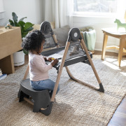 Stolička jedálenská multifunkčná Wesley™ 0 m+ do 23 kg Ingenuity