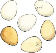 Mini hra pre deti Zahlendino Haba