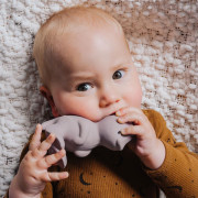 Tikiri Dinos chrastítko a kousátko z přírodní gumy