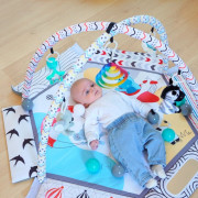 Hracia deka Midnight Expedition & Balls Bo Jungle