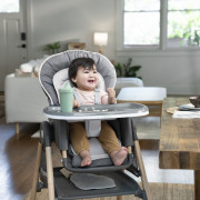 Stolička jedálenská multifunkčná Wesley™ 0 m+ do 23 kg Ingenuity